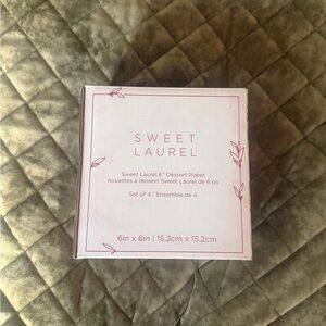 Pink 6" Dessert Plates - Set of 4